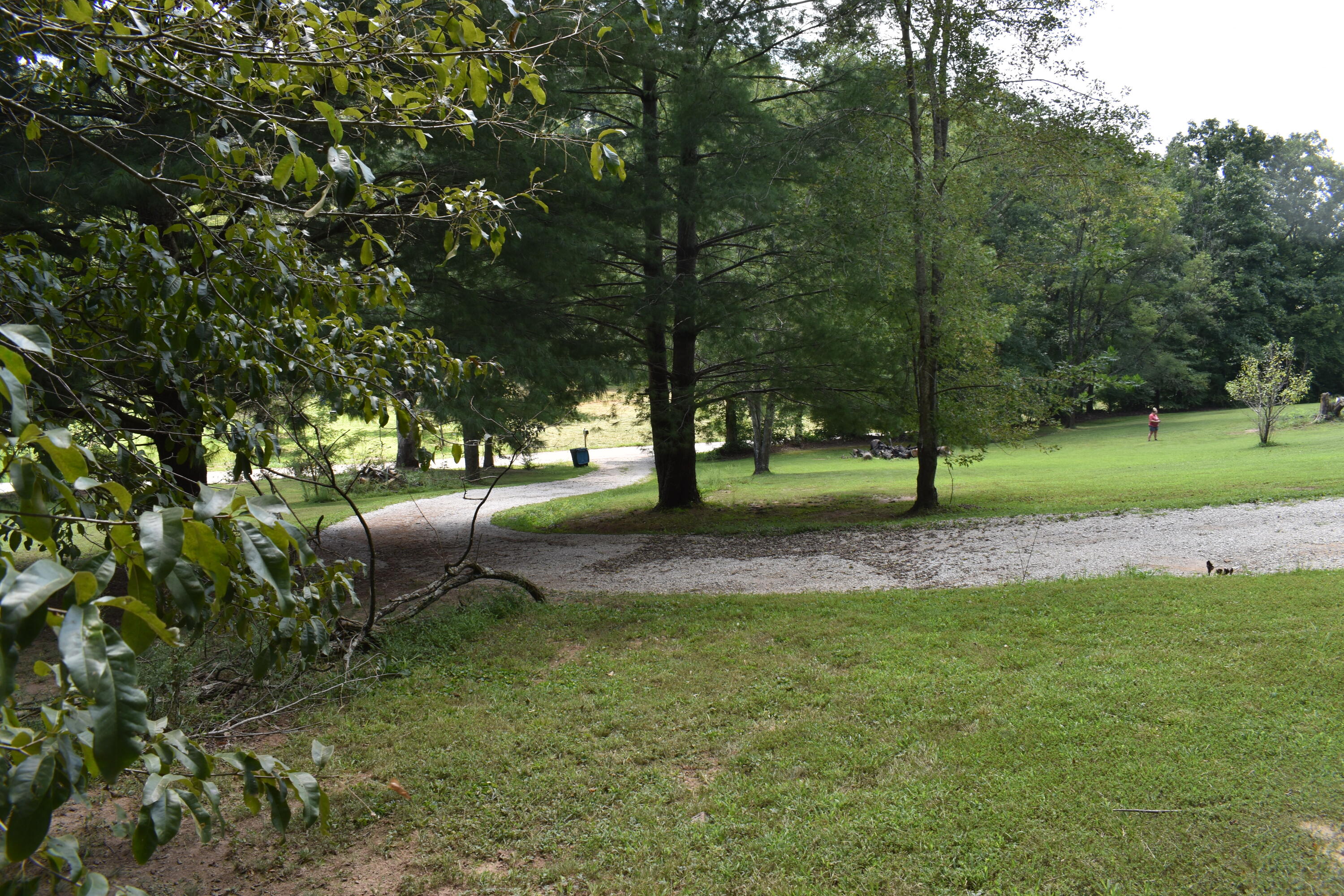 458 Pendleton Branch Road Salt Lick, KY 40371 - Photo 39 of 62 DSC_0726