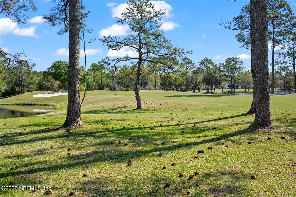 9919 Blakeford Mill Road Jacksonville, FL 32256 - Photo 66 of 88 Golf course view