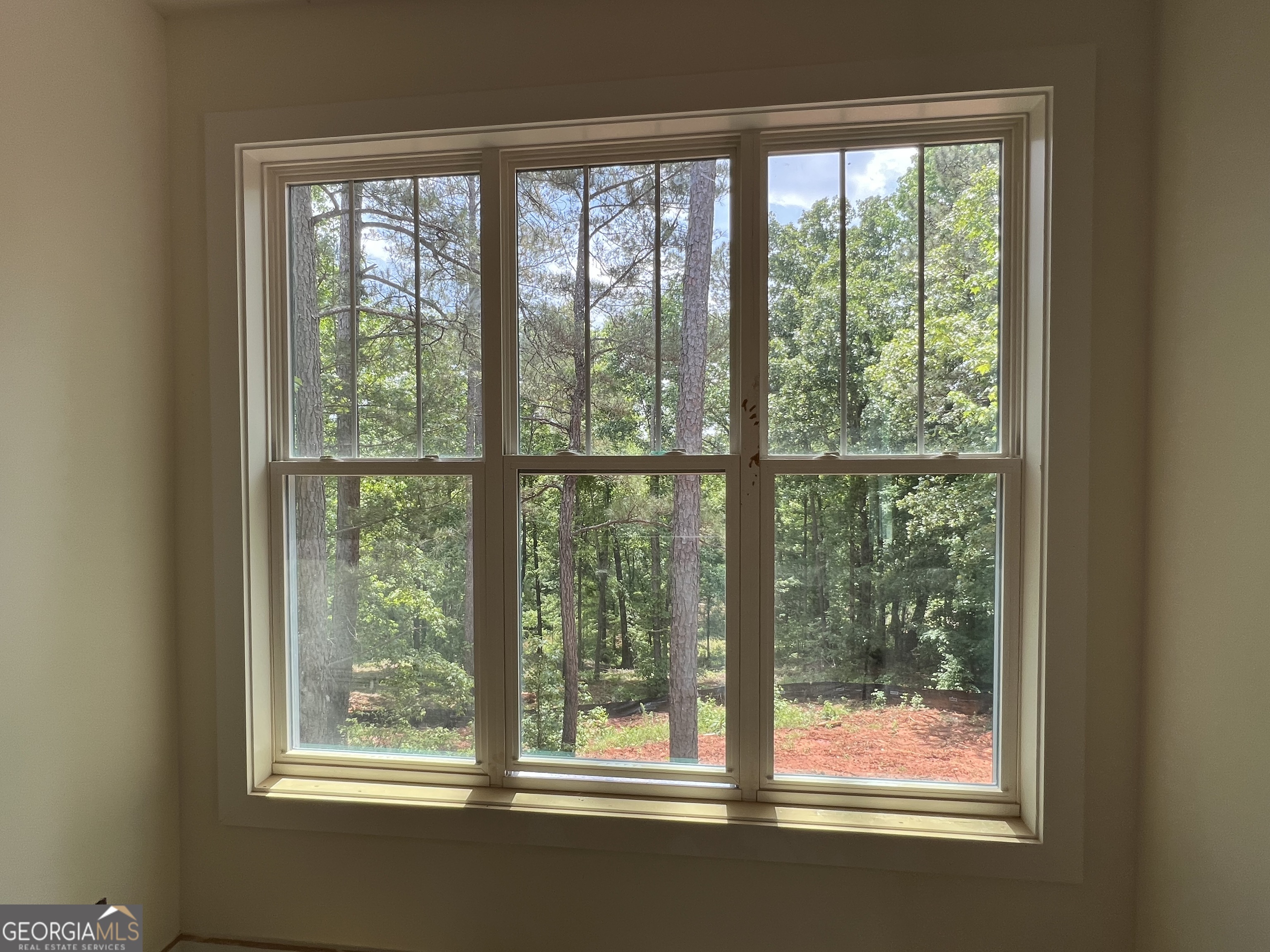 607 Forest Pointe Drive Forsyth, GA 31029 - Photo 28 of 48