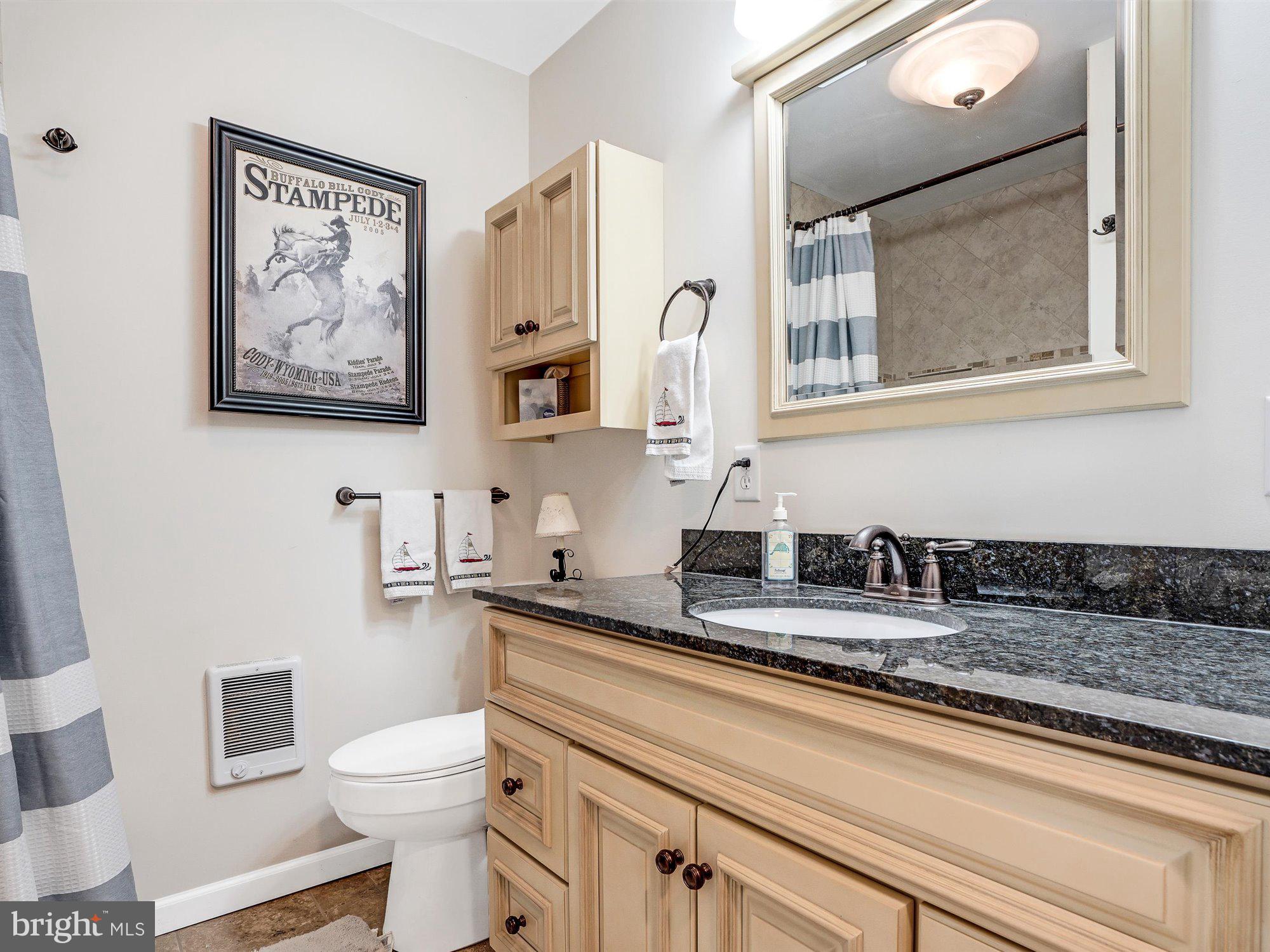 153 Locust Grove Road Dillsburg, PA 17019 - Photo 21 of 58 Full bath in-law suite.
