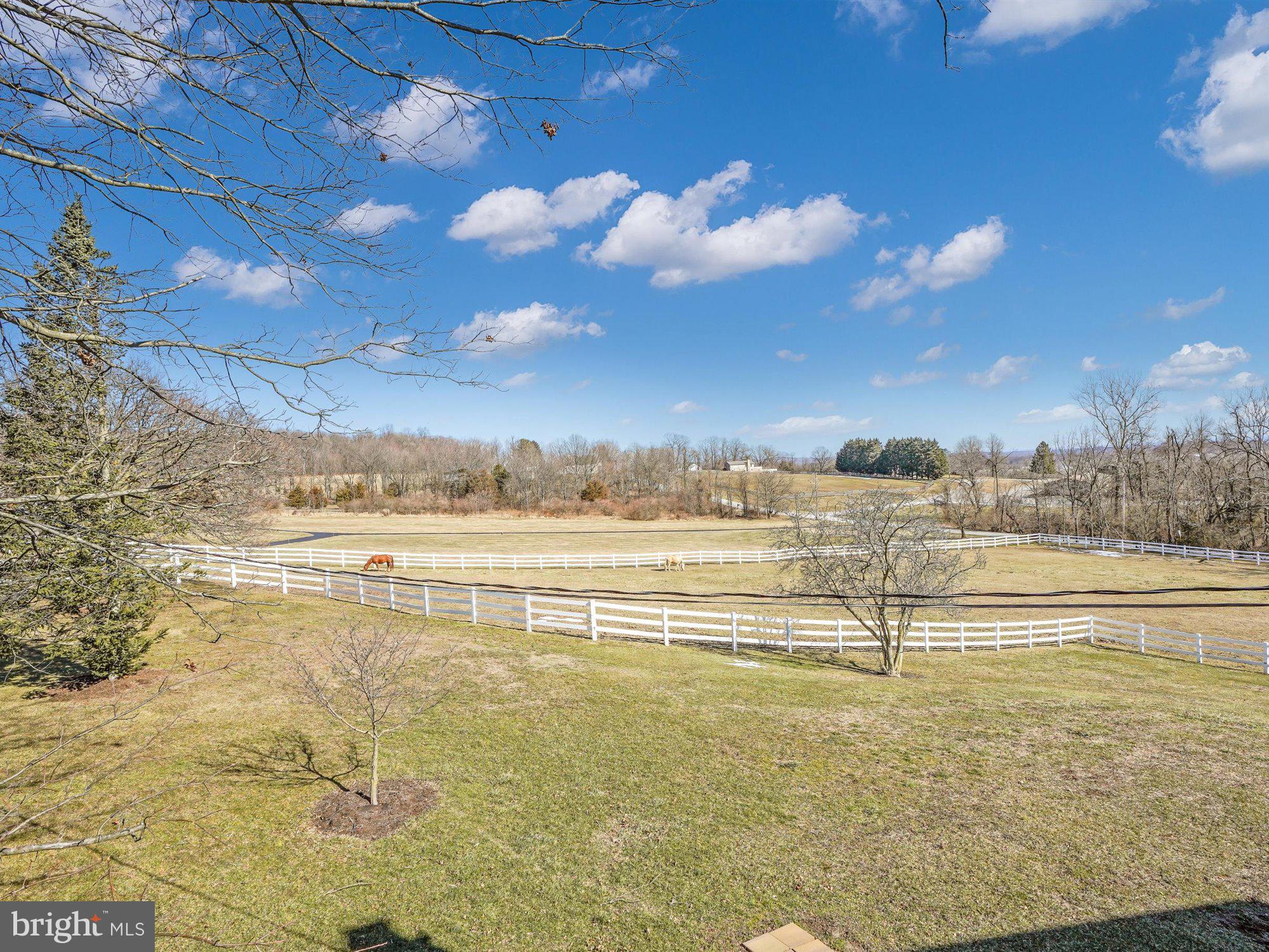 153 Locust Grove Road Dillsburg, PA 17019 - Photo 31 of 58 View from premier bedroom's patio.