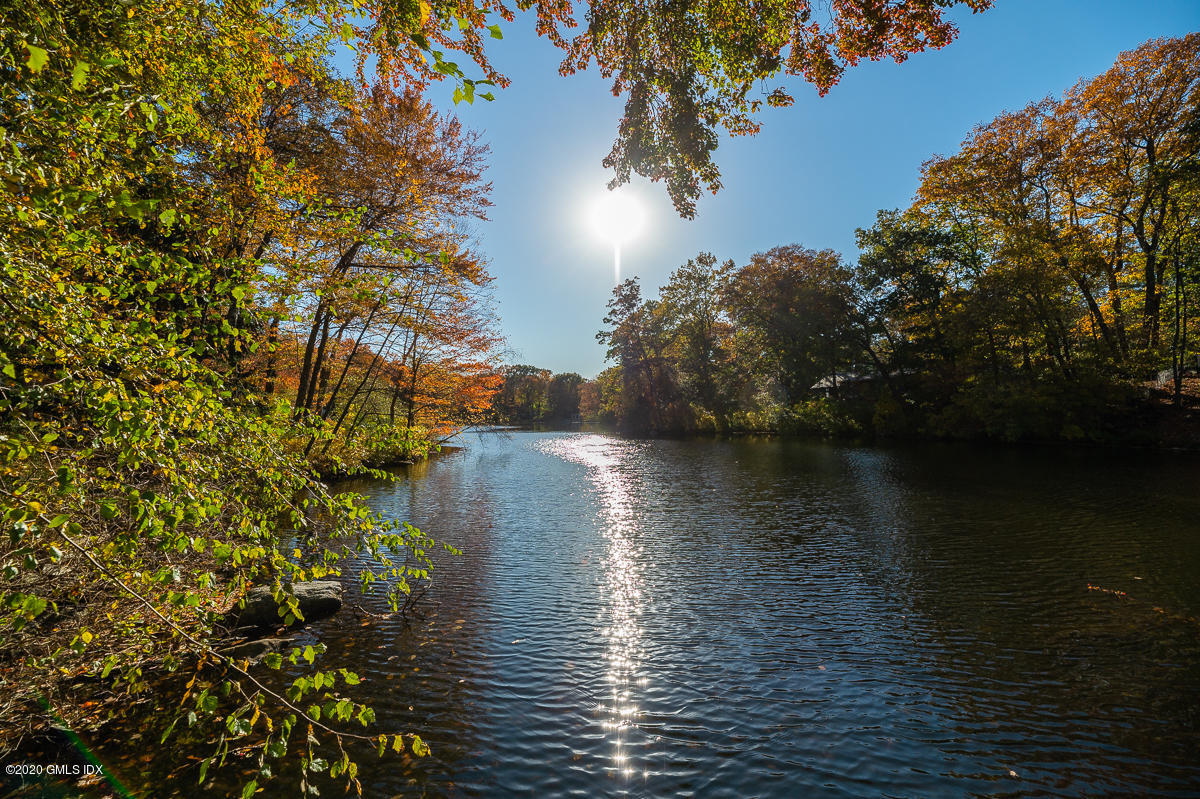 124 Foxwood Road Stamford, CT 06903 - Photo 51 of 58 _DSC4810