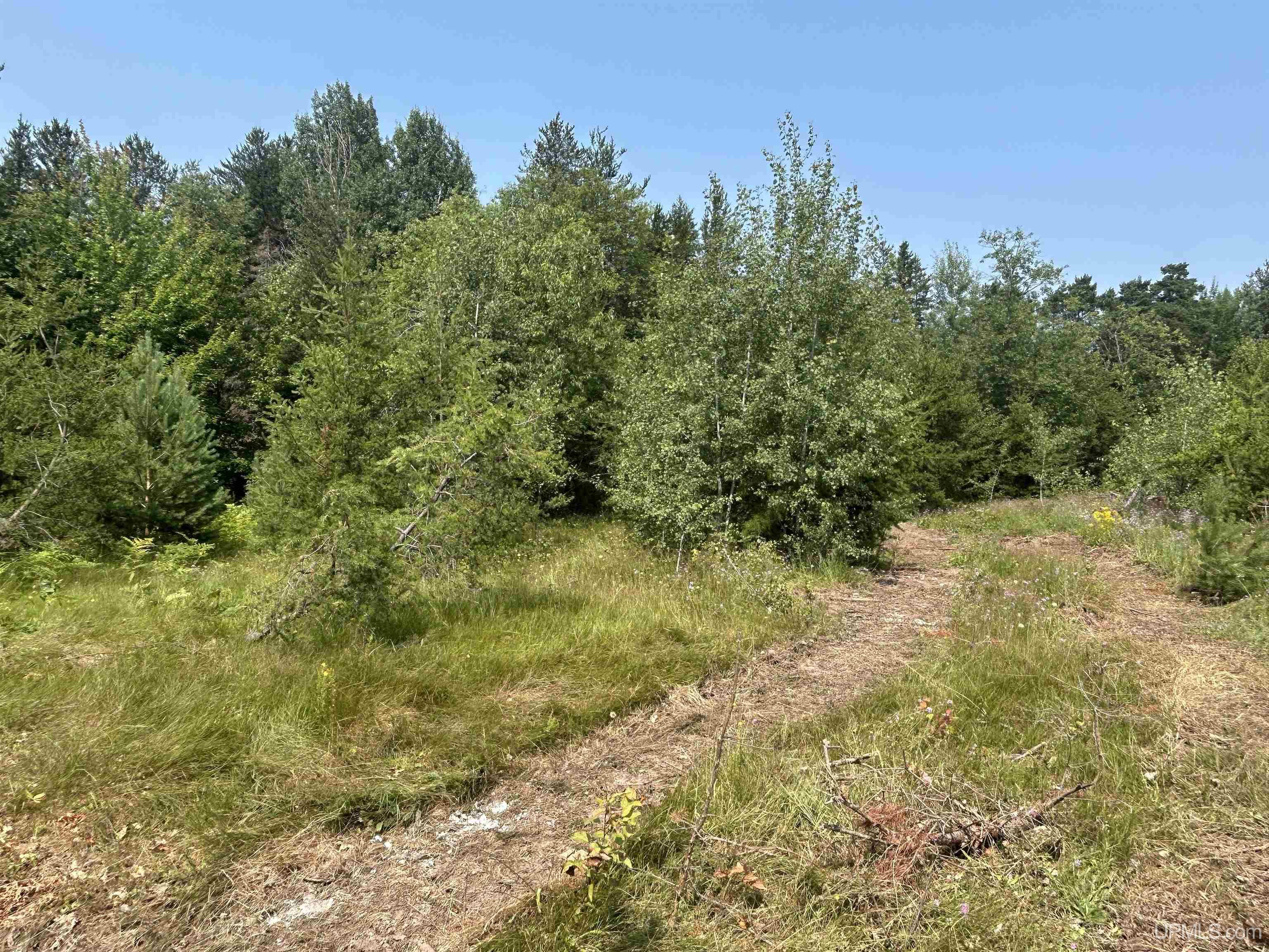 420 Brickyard Road Marquette, MI 49855 - Photo 13 of 24