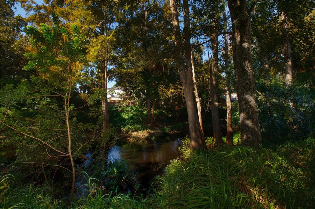 7180 Riverrun Road New Port Richey, FL 34655 - Photo 1 of 1 a view of forest