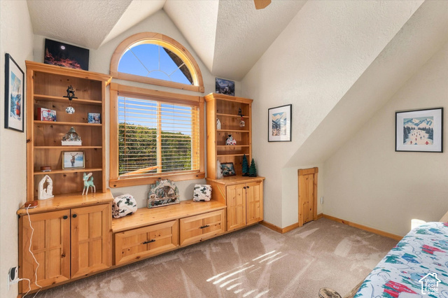 1701 Oak Road Coalville, UT 84017 - Photo 46 of 71 Built-in shelving, integrated window bench, and a curved arch window with an additional rectangular window