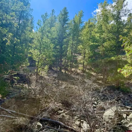 $150,000 | Tdb Lochleven Lane, Almont, CO 81210