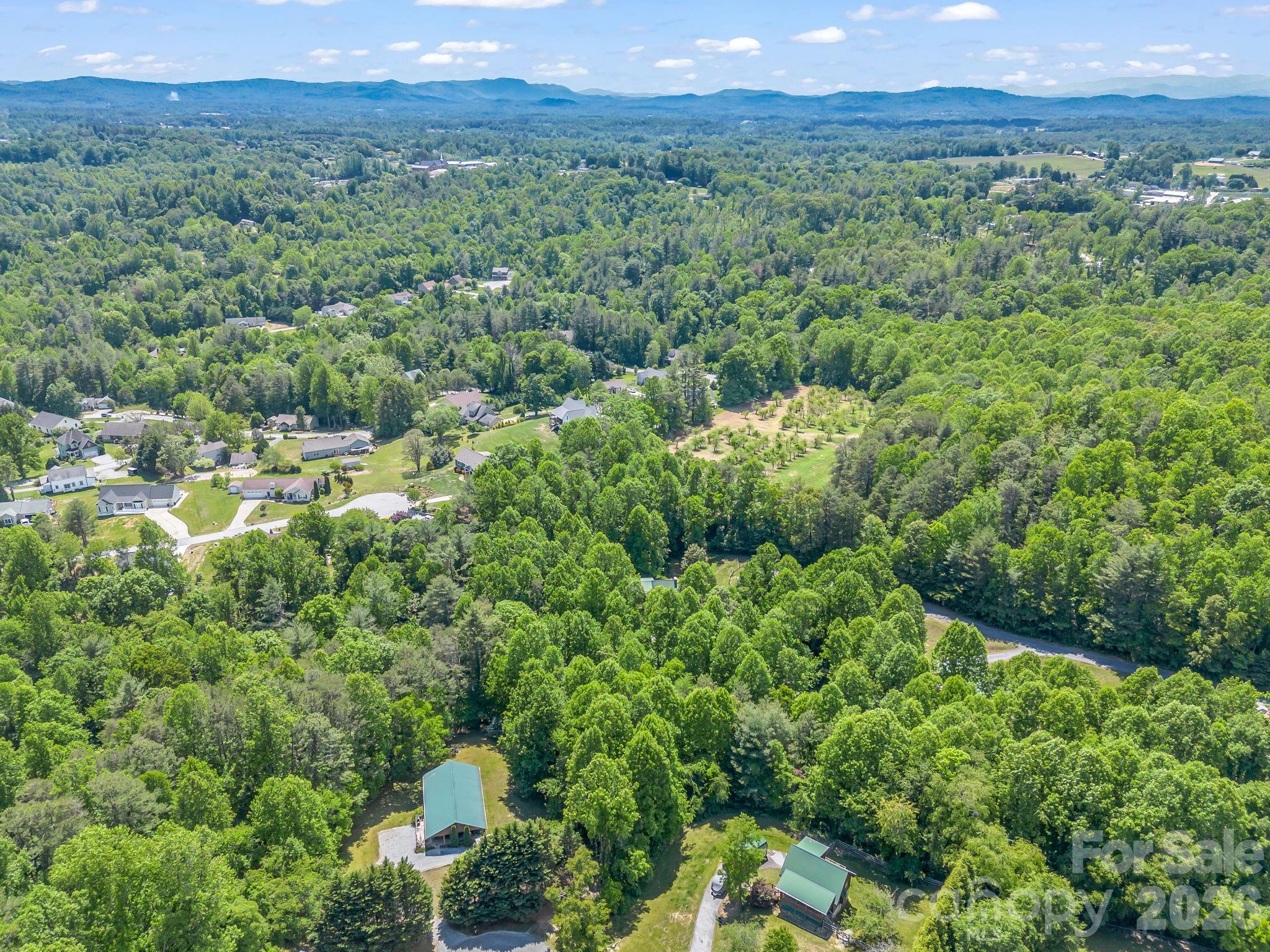 165 Dream Road Hendersonville, NC 28792 - Photo 46 of 46 a view of a lush green forest with trees and some houses