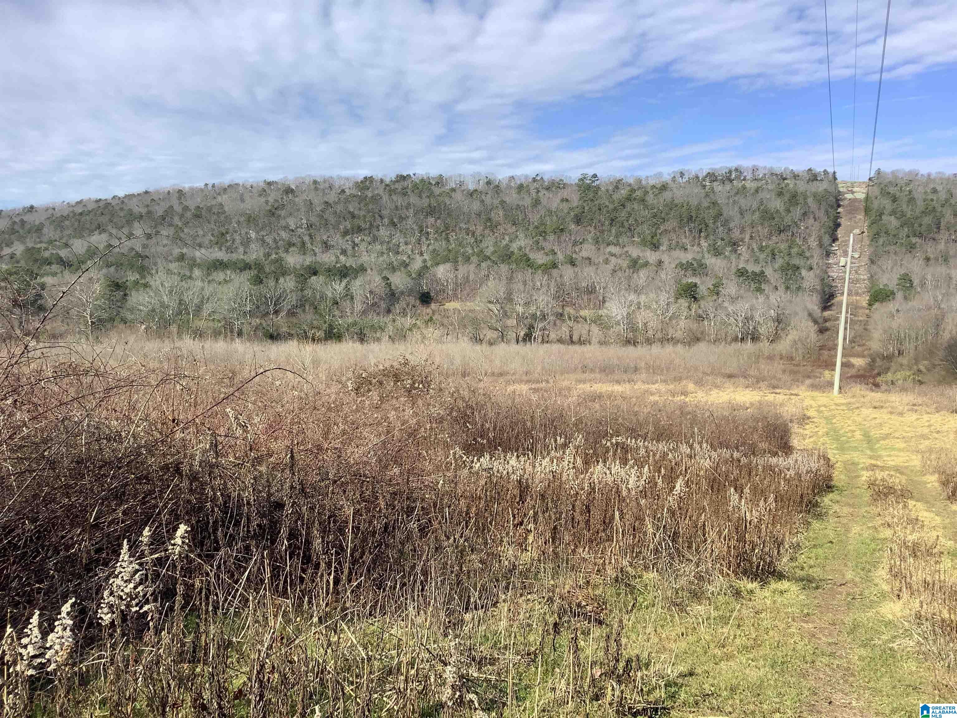 0 Highway 42 Oneonta, AL 35121 - Photo 1 of 8