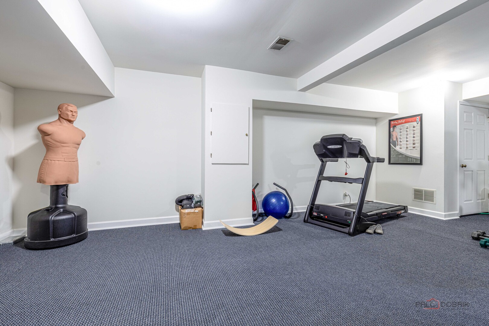 25900 North St Marys Road Libertyville, IL 60048 - Photo 35 of 56 a view of a room with gym equipment