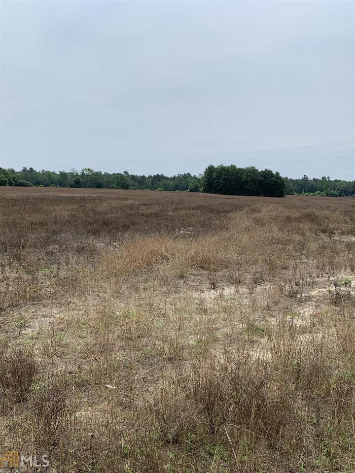 0 Isaac Akins Road Statesboro, GA 30458 - Photo 1 of 1 Gallery Image 1
