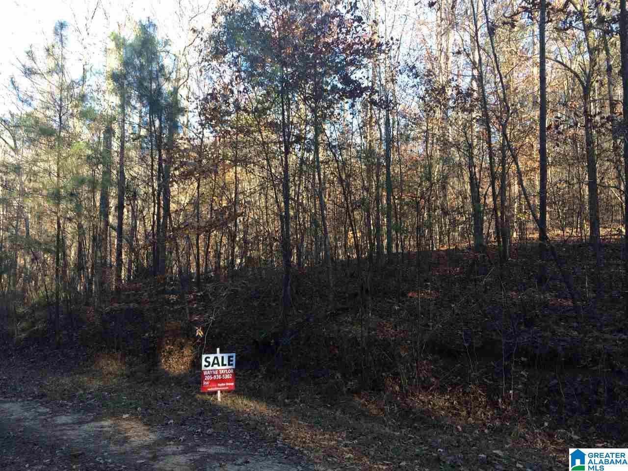 0 Berrington Lane, Unit 9 ACRES Springville, AL 35146 - Photo 4 of 4