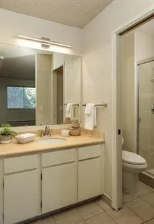 a bathroom with a toilet sink and mirror