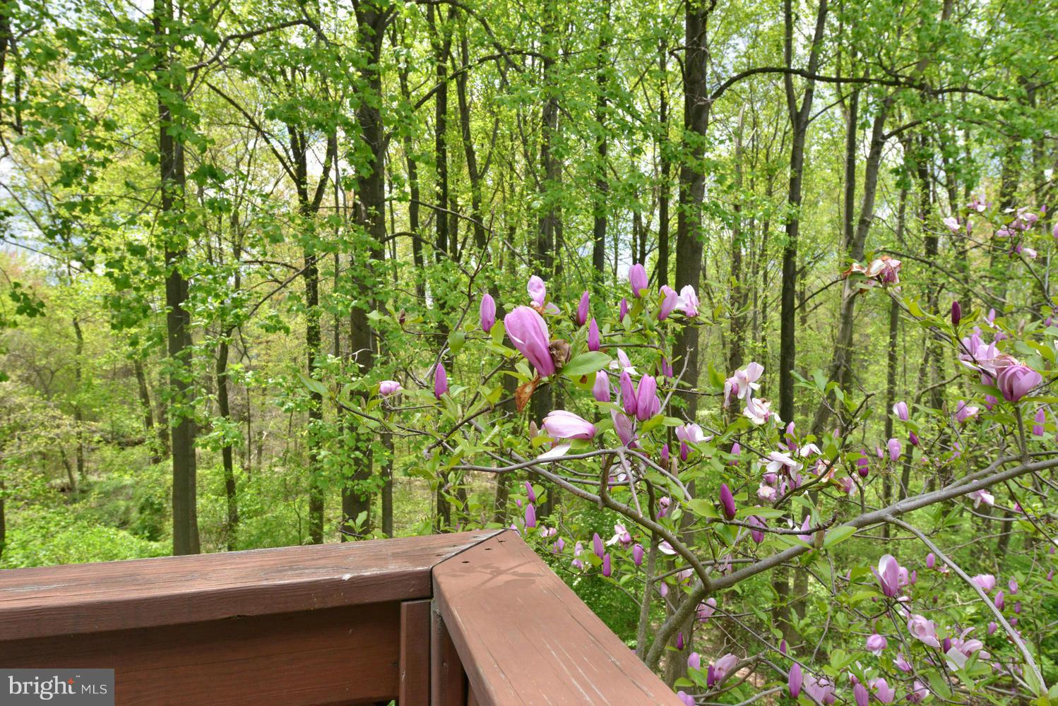 10107 Oakton Terrace Road, Unit 10107 Oakton, VA 22124 - Photo 27 of 30 Exterior (General)