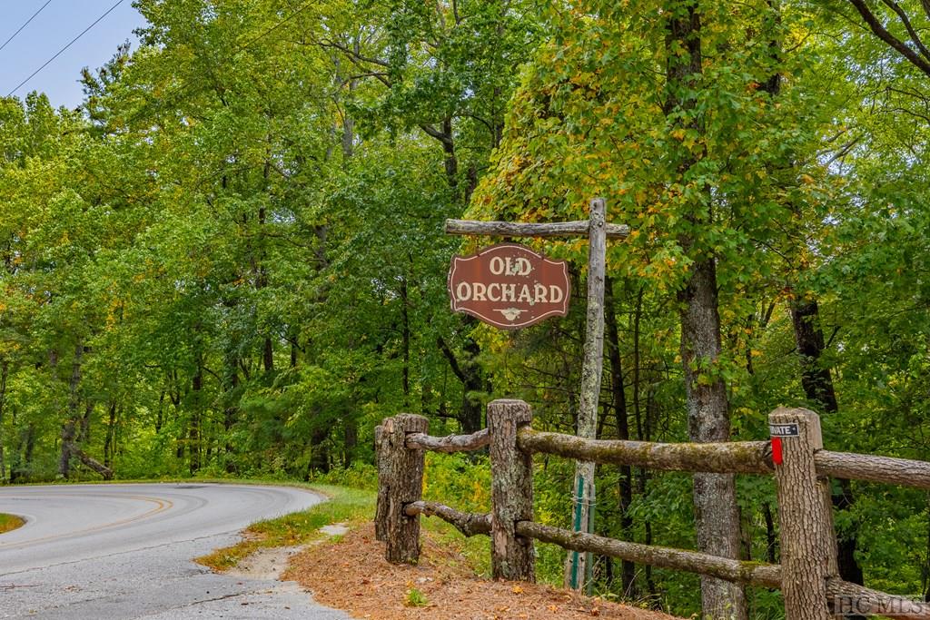 376 Old Orchard Road Highlands, NC 28741 - Photo 42 of 42 Gallery Image 42