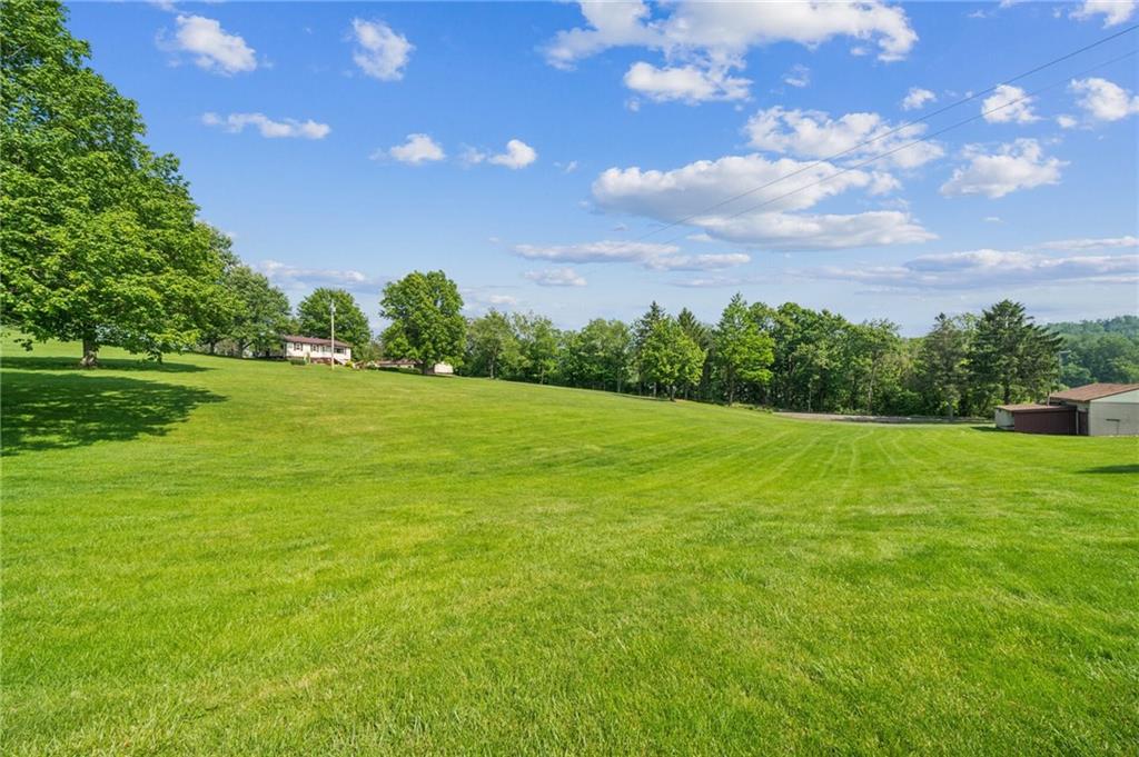 922 Old Ridge Road Avella, PA 15312 - Photo 2 of 50 a view of a big yard with a large tree