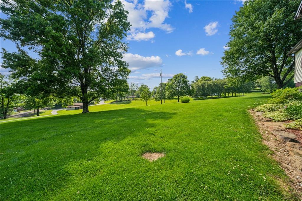 922 Old Ridge Road Avella, PA 15312 - Photo 9 of 50 a view of a trees with a big yard