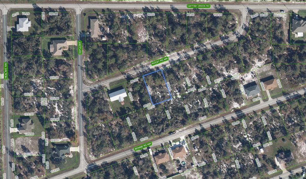 112 Rocky Road Northwest Lake Placid, FL 33852 - Photo 1 of 1 a picture of tree