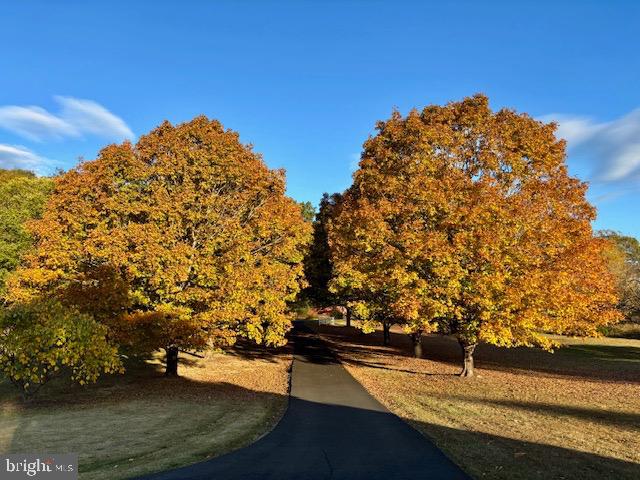 3460 Indian Run Road Amissville, VA 20106 - Photo 57 of 57 Autumn's embrace: vibrant trees line the path.