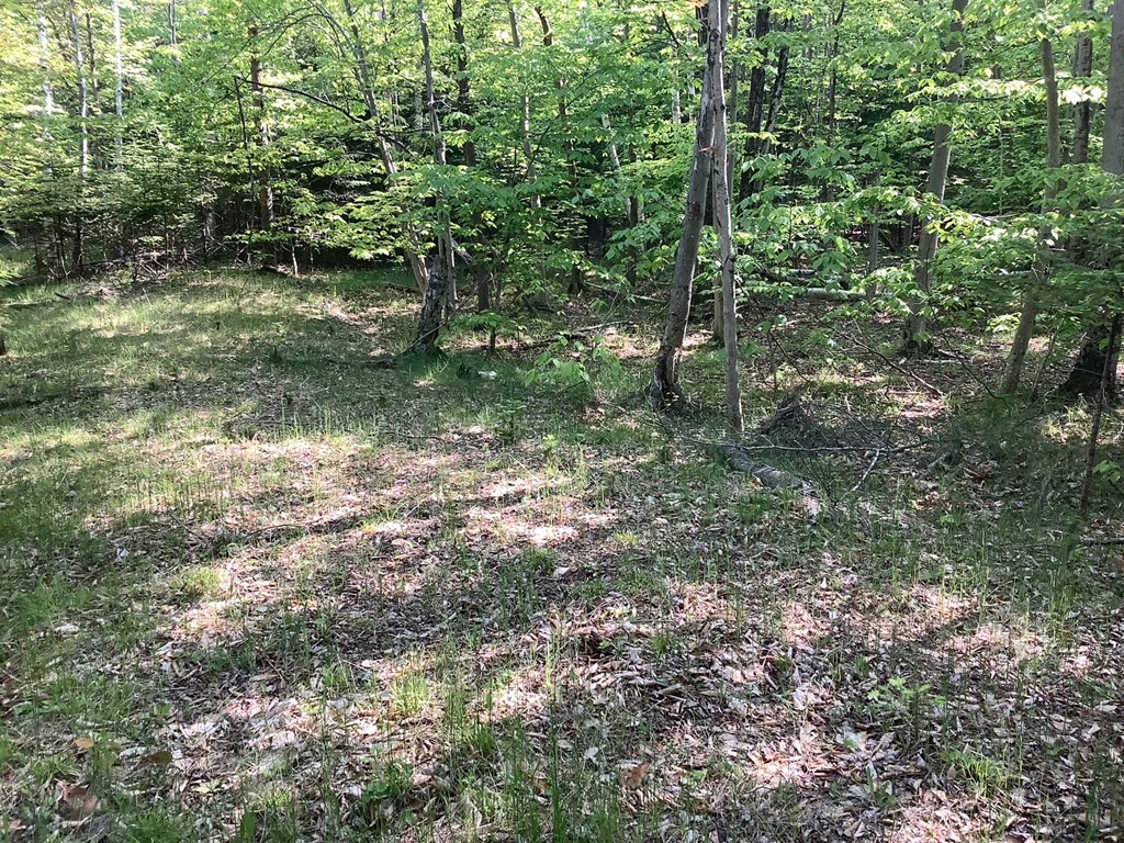 Tbd Timber Trail Washington Island, WI 54246 - Photo 2 of 5