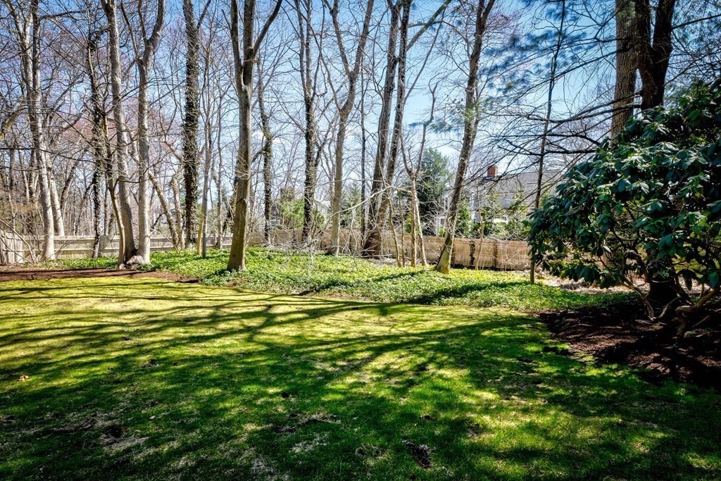 9 Salem Road Wellesley, MA 02481 - Photo 25 of 40 a view of a park with large trees