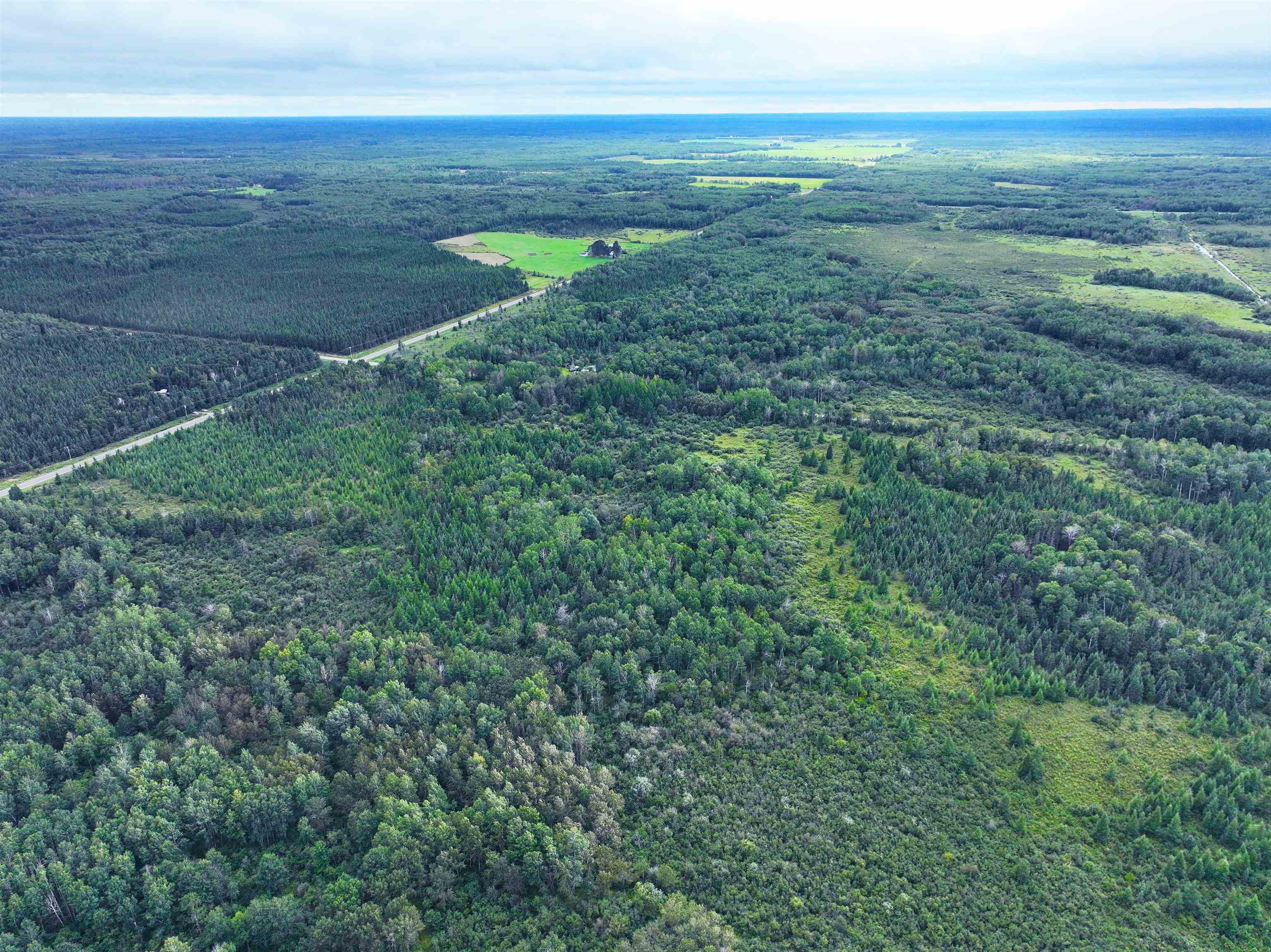 9128 Peary Road Cotton, MN 55724 - Photo 10 of 17 Aerial view of a heavily wooded area