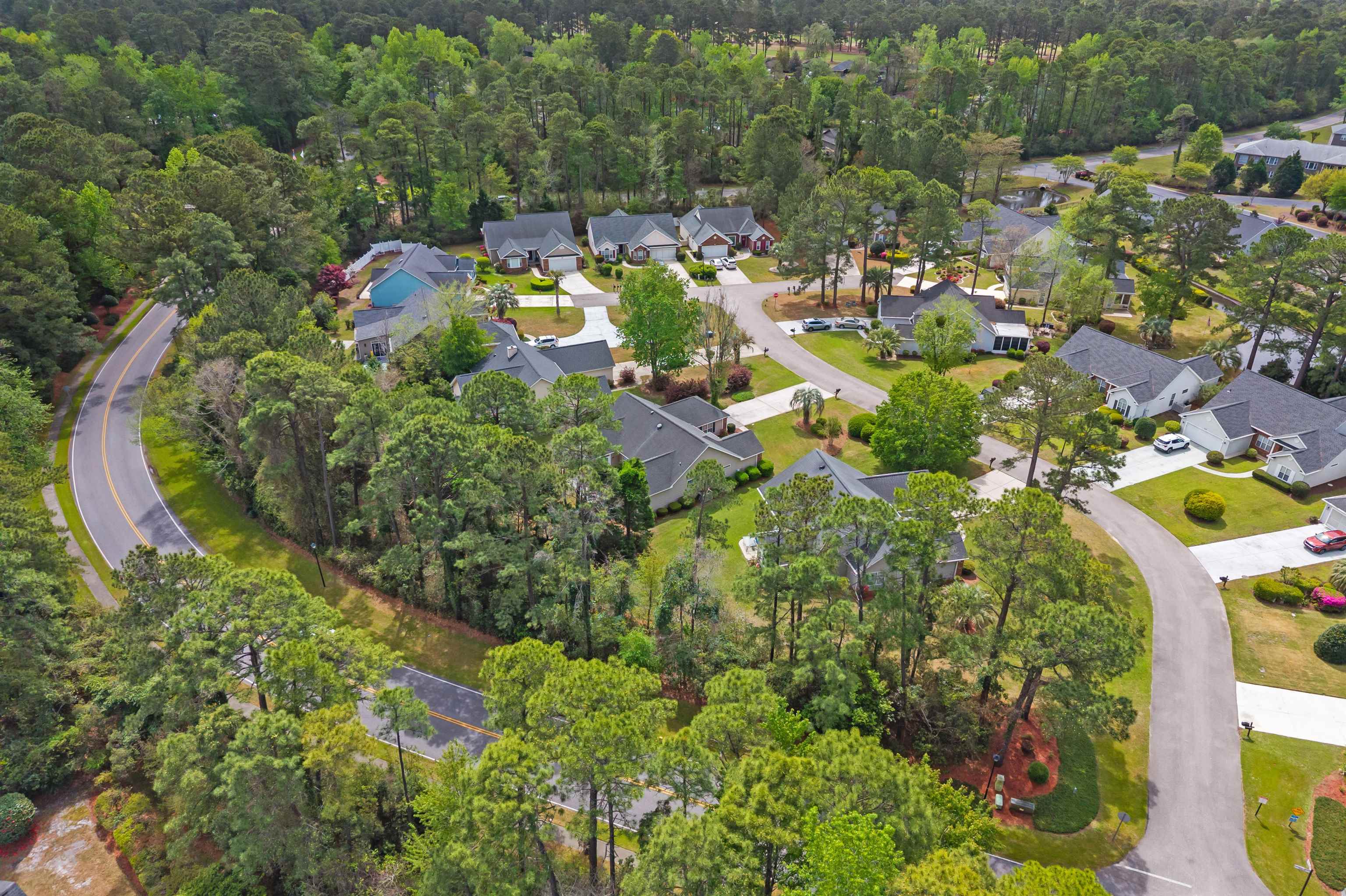 1209 Loblolly Lane Conway, SC 29526 - Photo 50 of 60