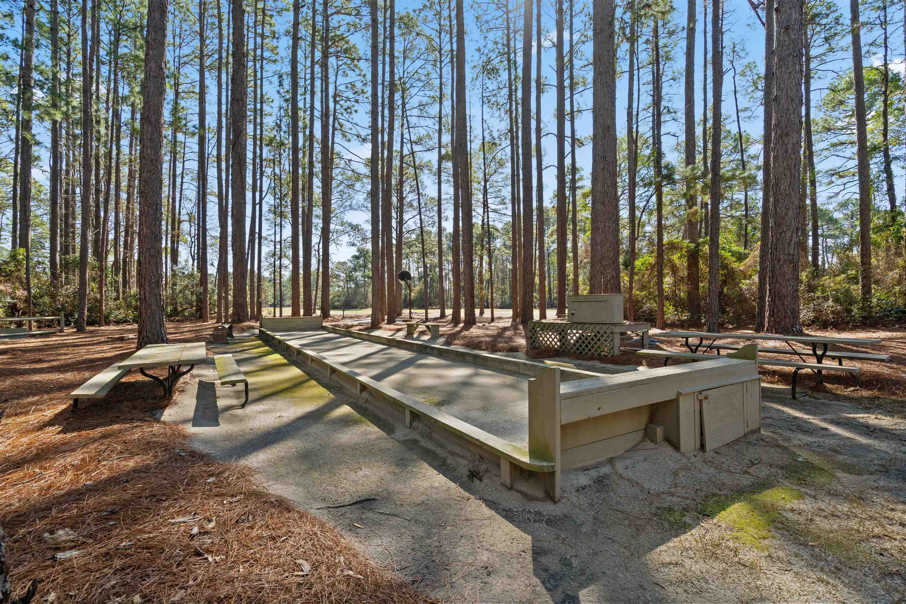 1209 Loblolly Lane Conway, SC 29526 - Photo 54 of 60