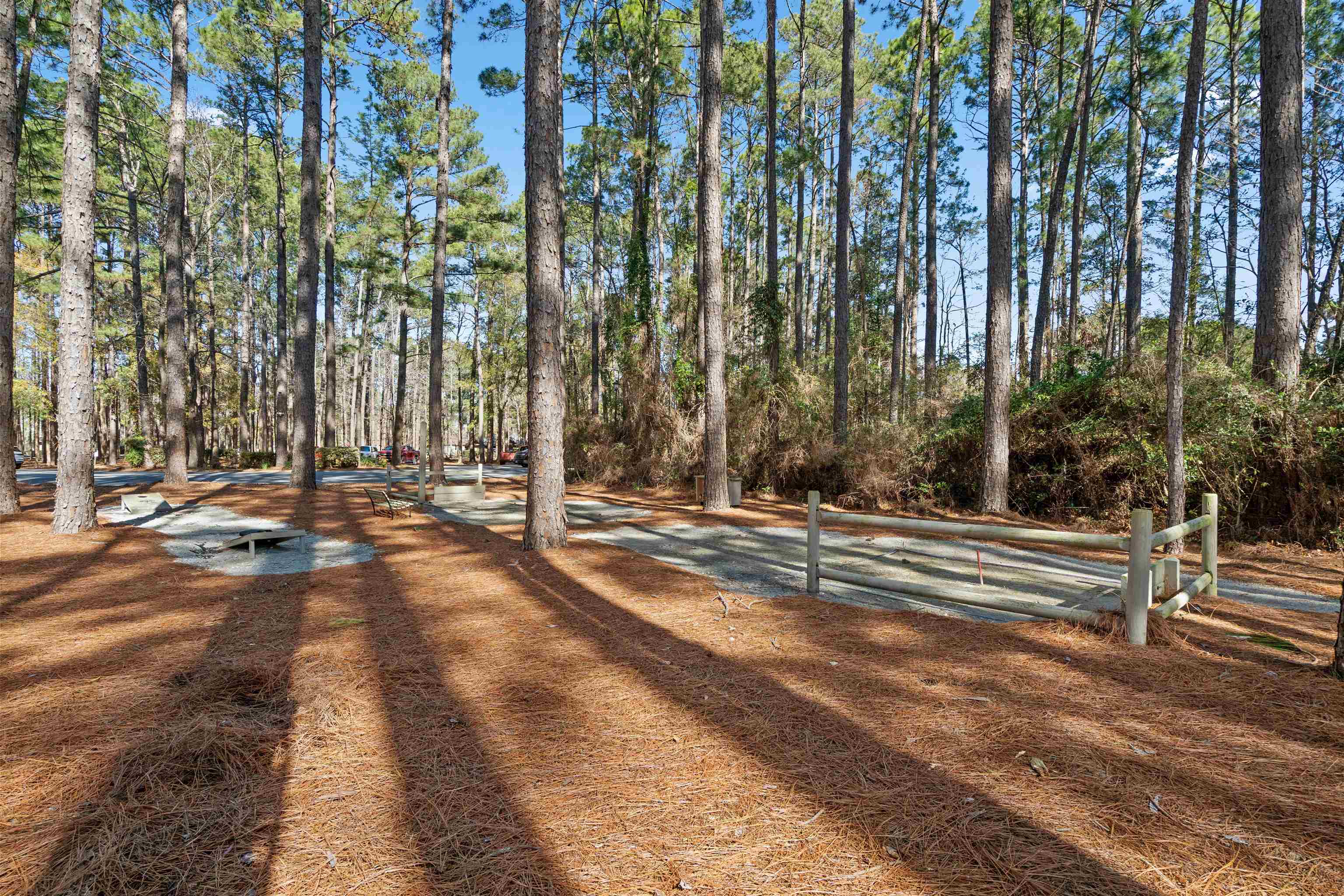 1209 Loblolly Lane Conway, SC 29526 - Photo 55 of 60