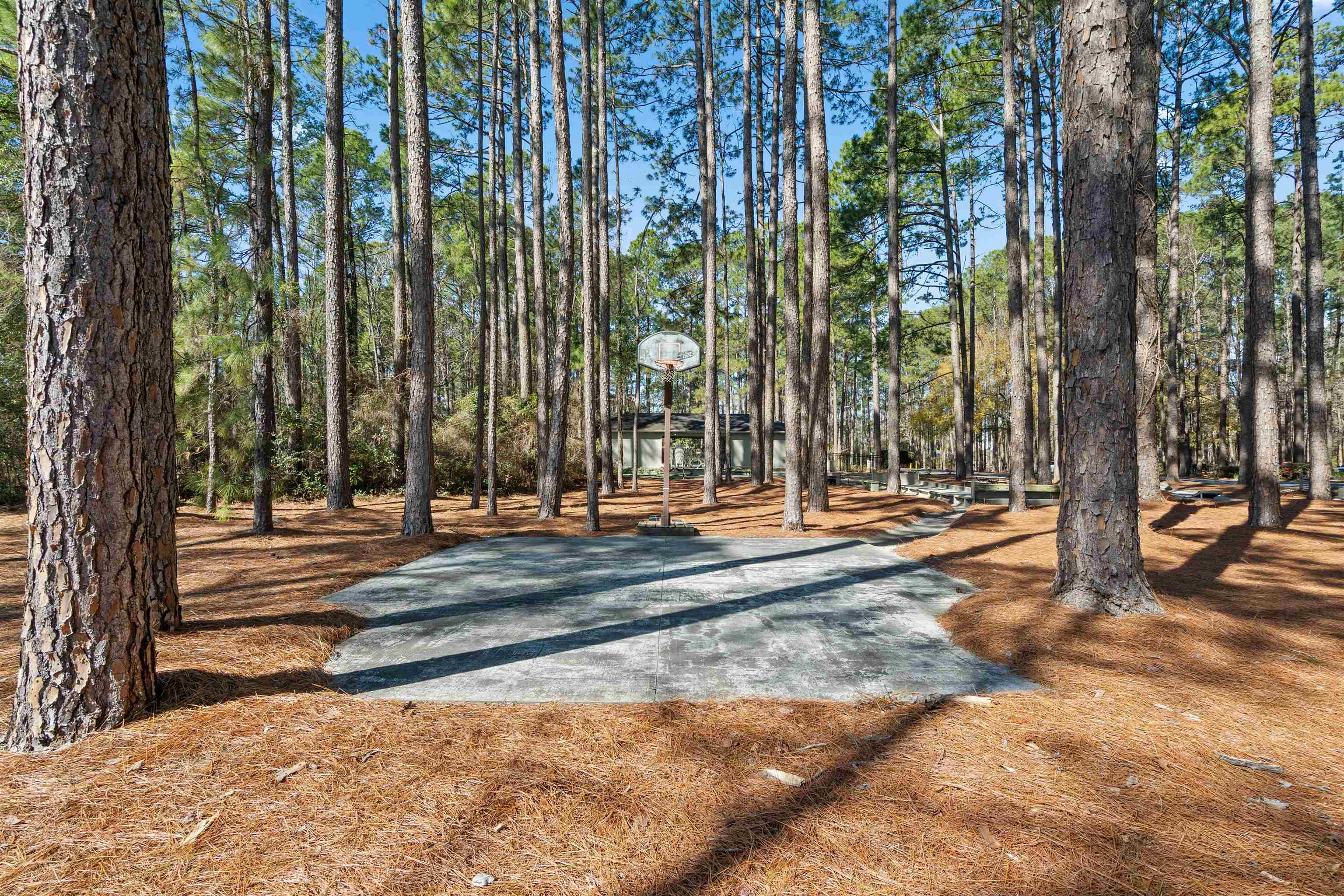 1209 Loblolly Lane Conway, SC 29526 - Photo 56 of 60