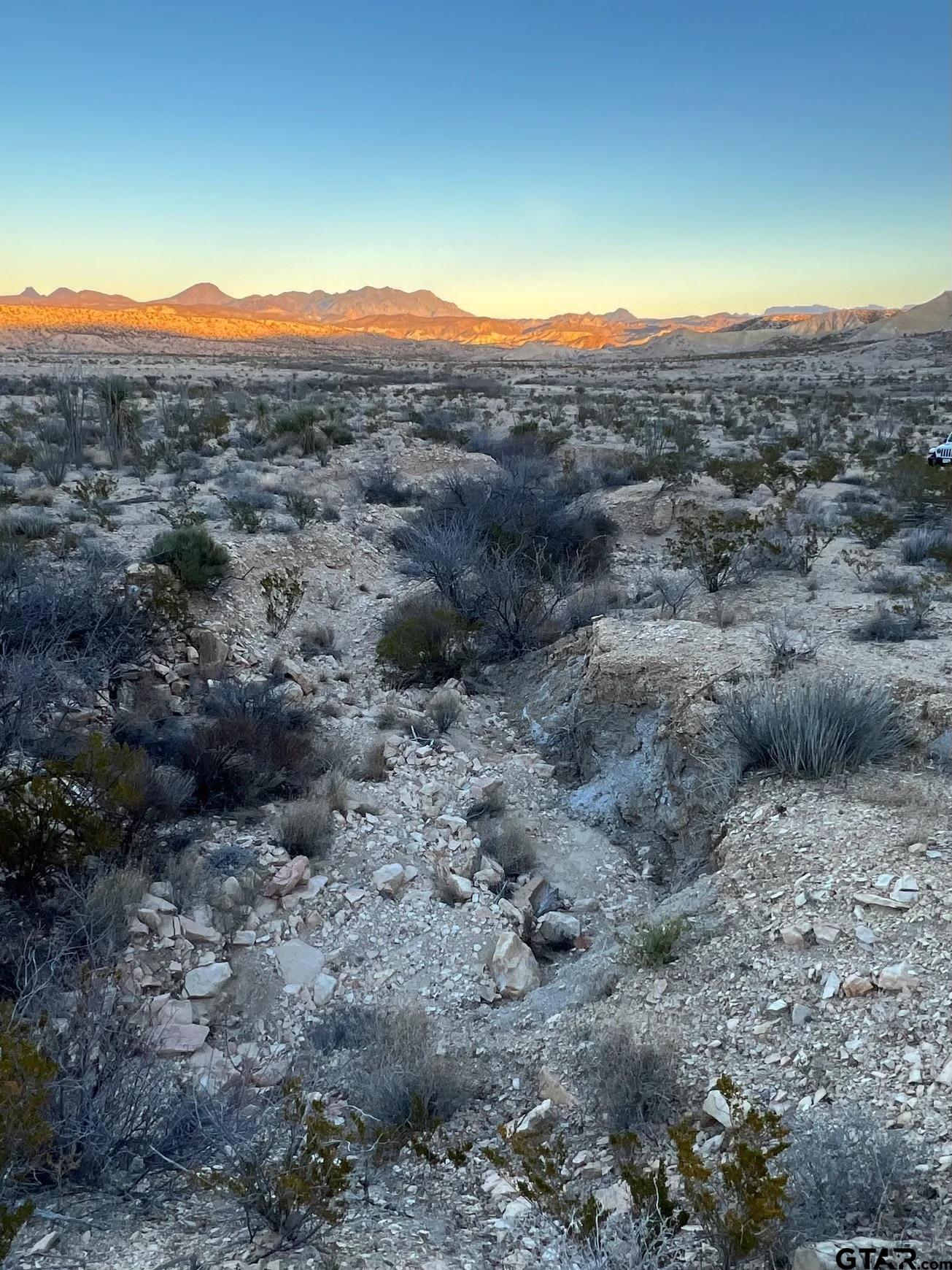 26503 Herman's Peak Road Terlingua, TX 79852 - Photo 11 of 12 a view of a mountain in the distance in a field