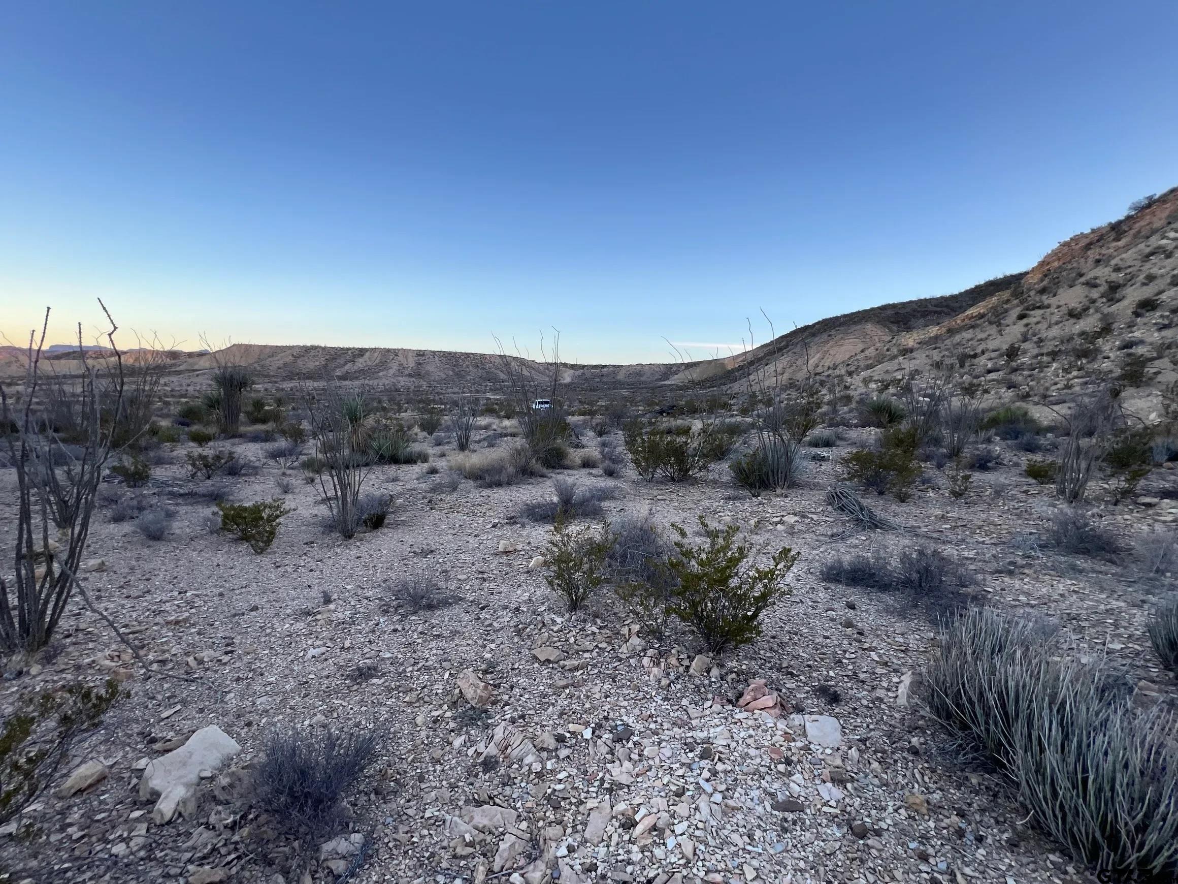 26503 Herman's Peak Road Terlingua, TX 79852 - Photo 2 of 12 a view of a dry field