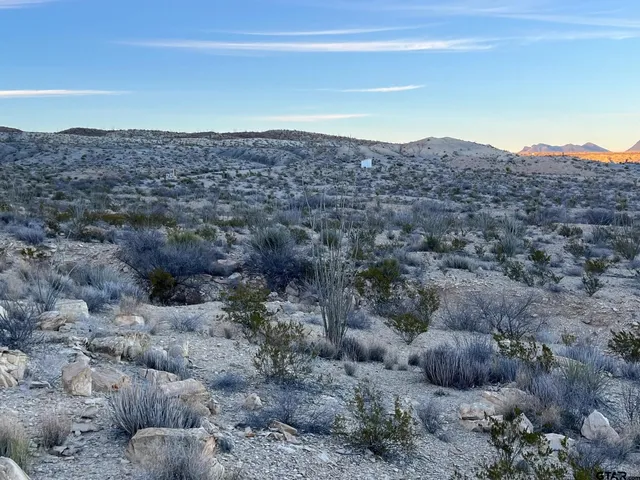 a view of a dry field with mountains in the background