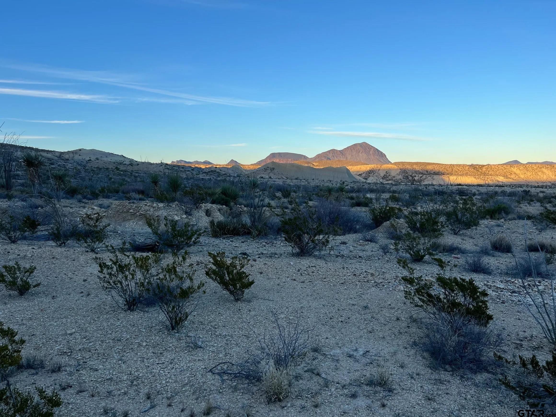 26503 Herman's Peak Road Terlingua, TX 79852 - Photo 4 of 12 a view of a dry field