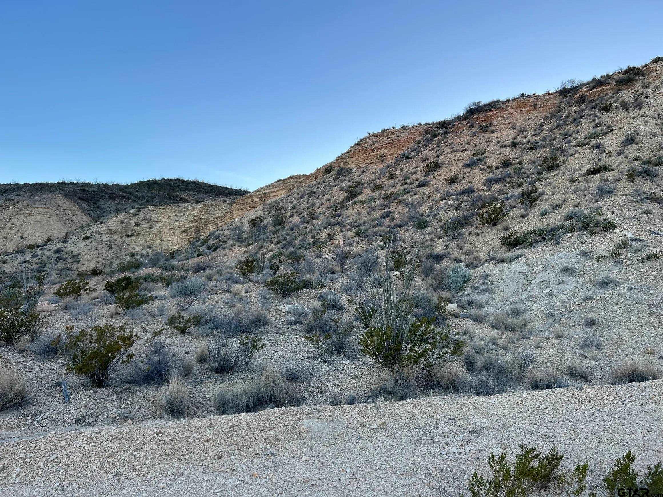 26503 Herman's Peak Road Terlingua, TX 79852 - Photo 6 of 12 a view of a dry field