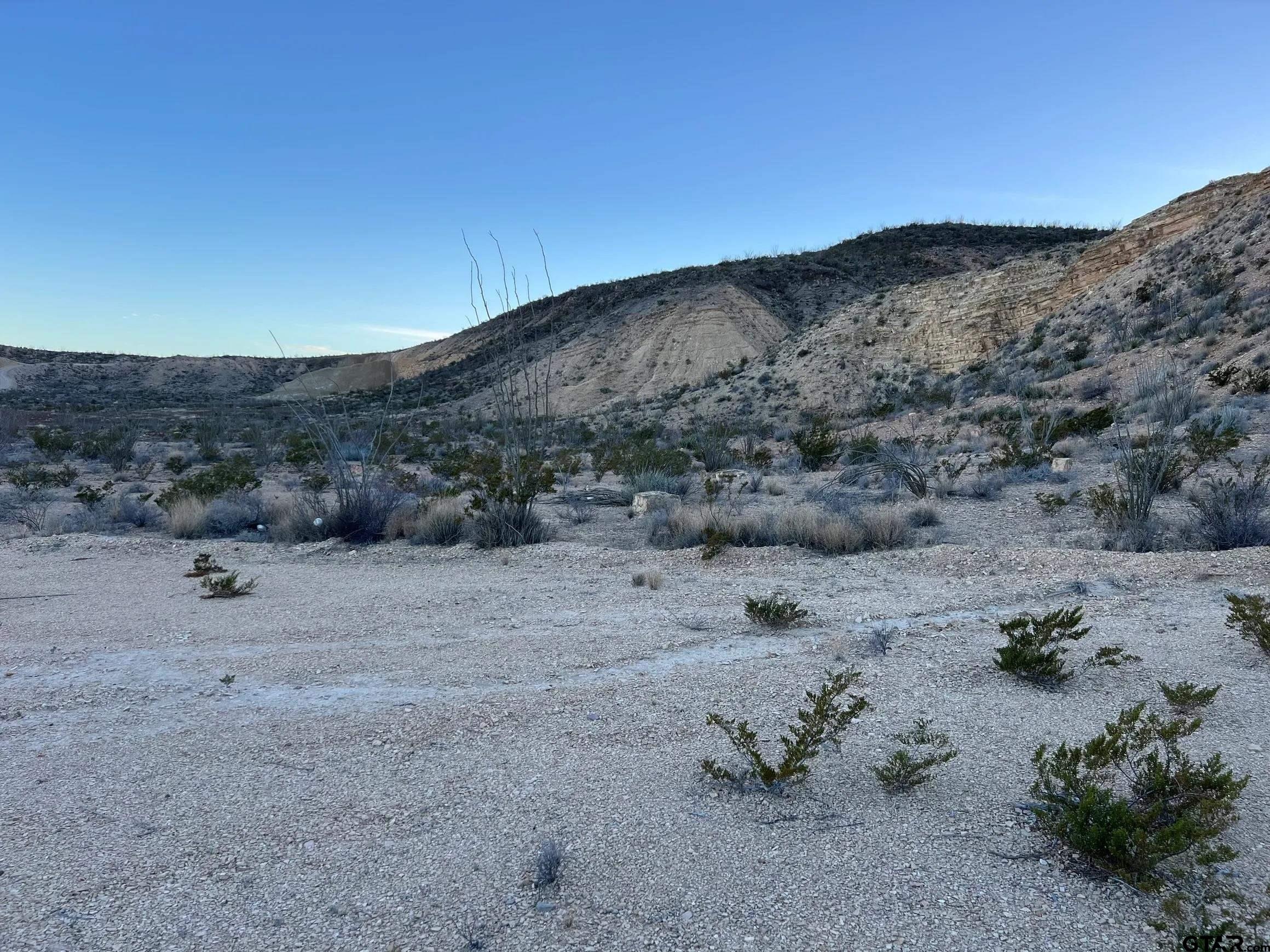 26503 Herman's Peak Road Terlingua, TX 79852 - Photo 7 of 12 a view of a dry field