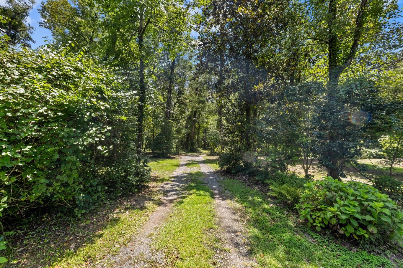 1407 Shady Rest Road Havana, FL 32333 - Photo 35 of 70