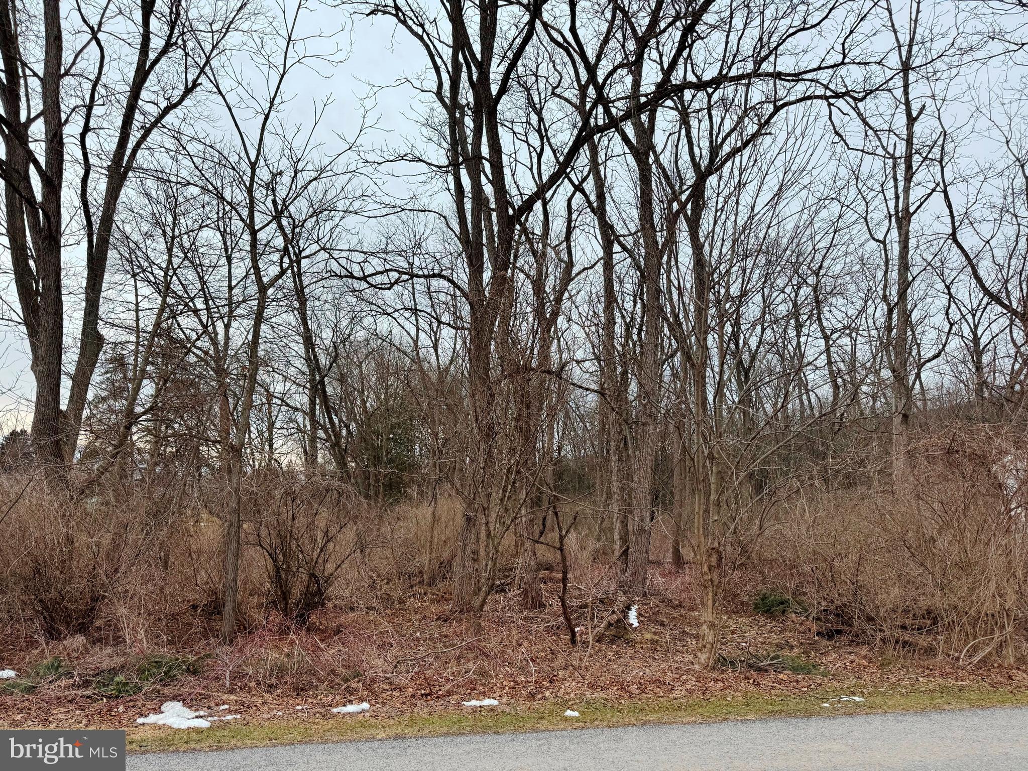 Lot On Emery Road Centre Hall, PA 16828 - Photo 16 of 20 Gallery Image 16