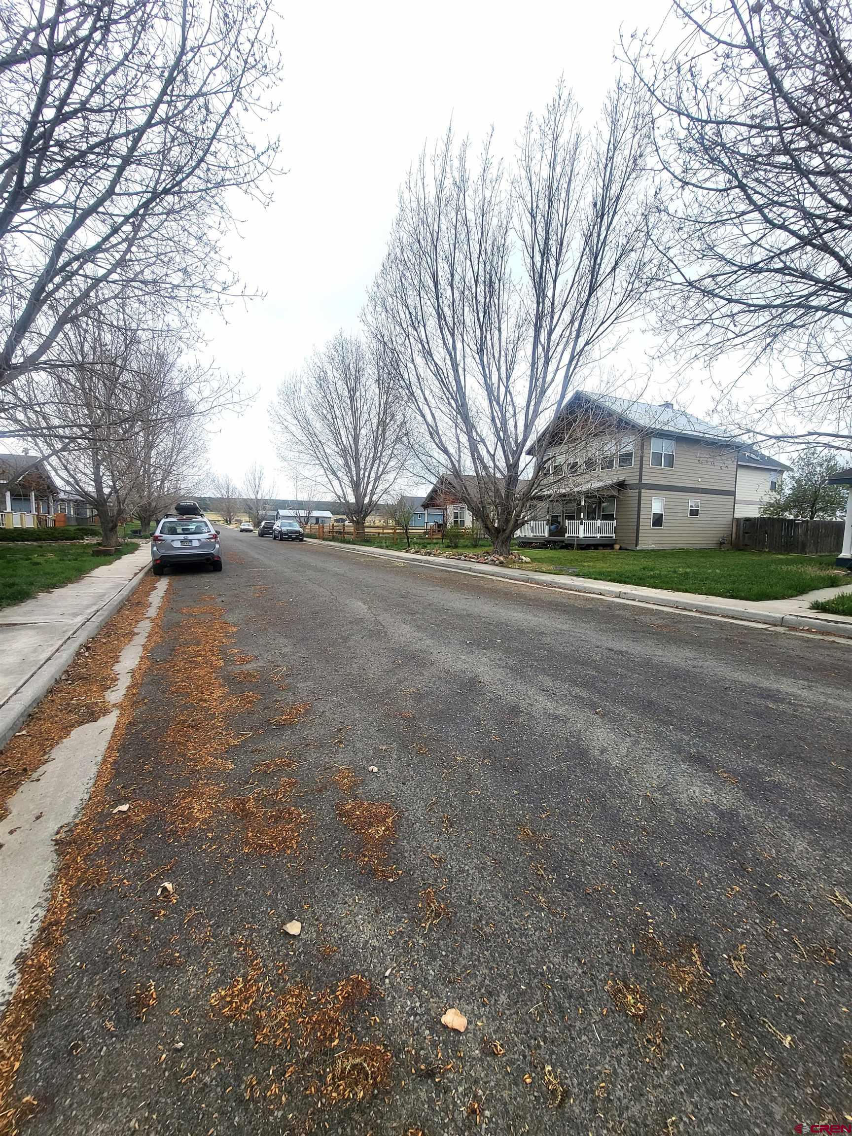 1610 Pine Street, Unit E Norwood, CO 81423 - Photo 18 of 23 a view of a road with a yard