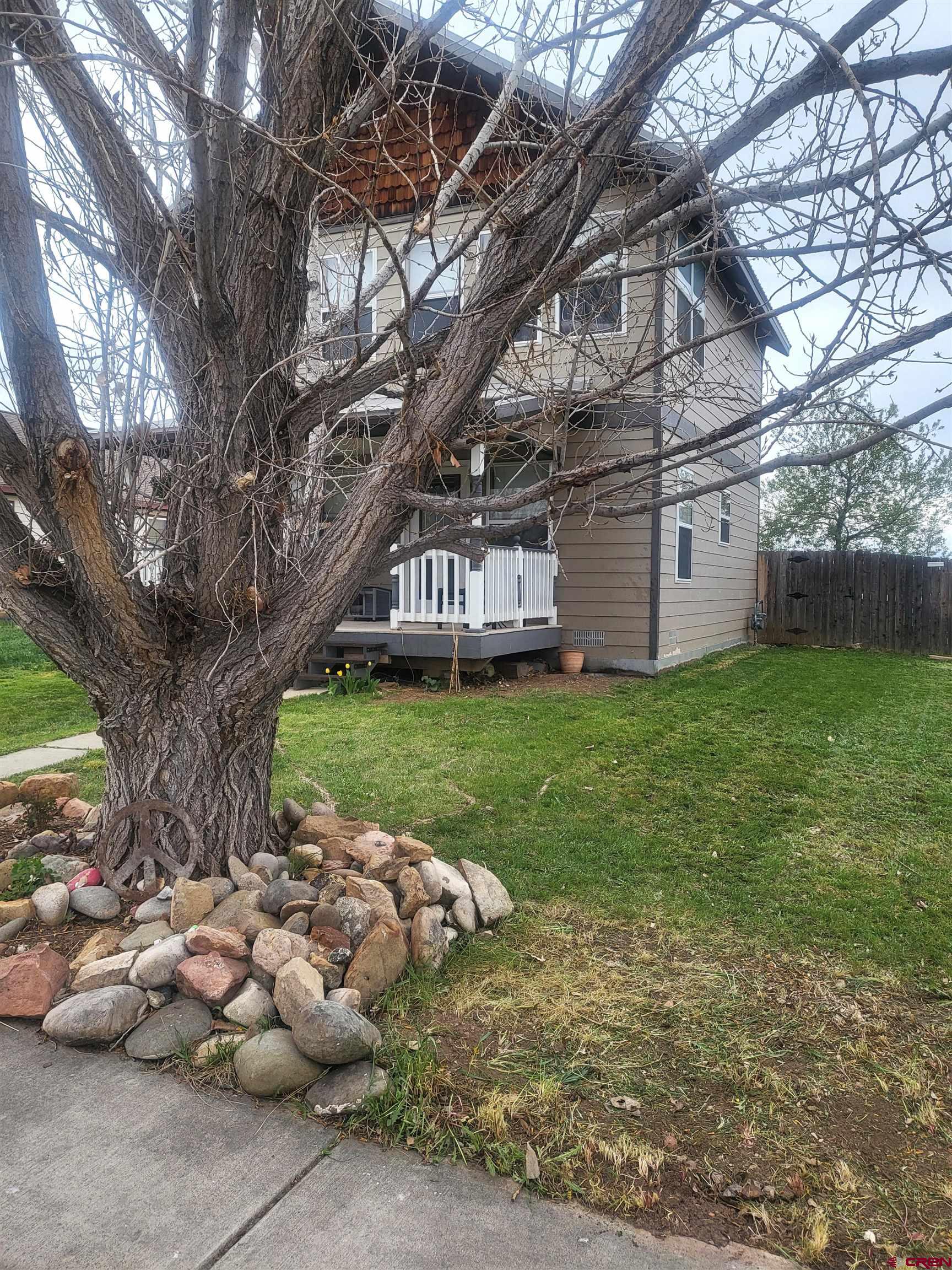 1610 Pine Street, Unit E Norwood, CO 81423 - Photo 3 of 23 a backyard of a house with lots of green space