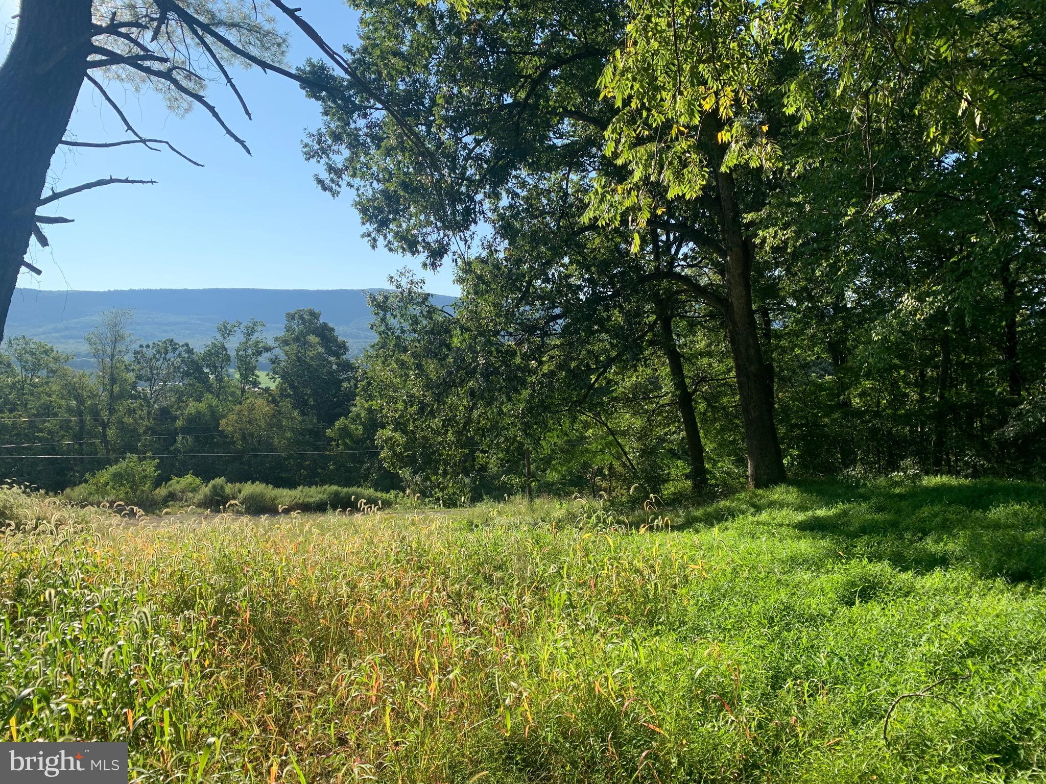 Peach Orchard Road McConnellsburg, PA 17233 - Photo 2 of 11