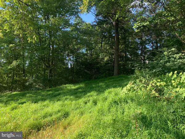 $39,900 | Peach Orchard Road, McConnellsburg, PA 17233