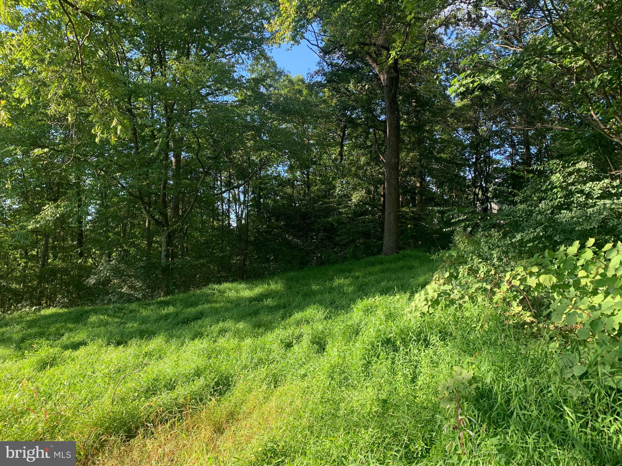 Peach Orchard Road McConnellsburg, PA 17233 - Photo 4 of 11