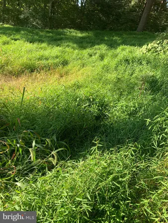 $39,900 | Peach Orchard Road, McConnellsburg, PA 17233