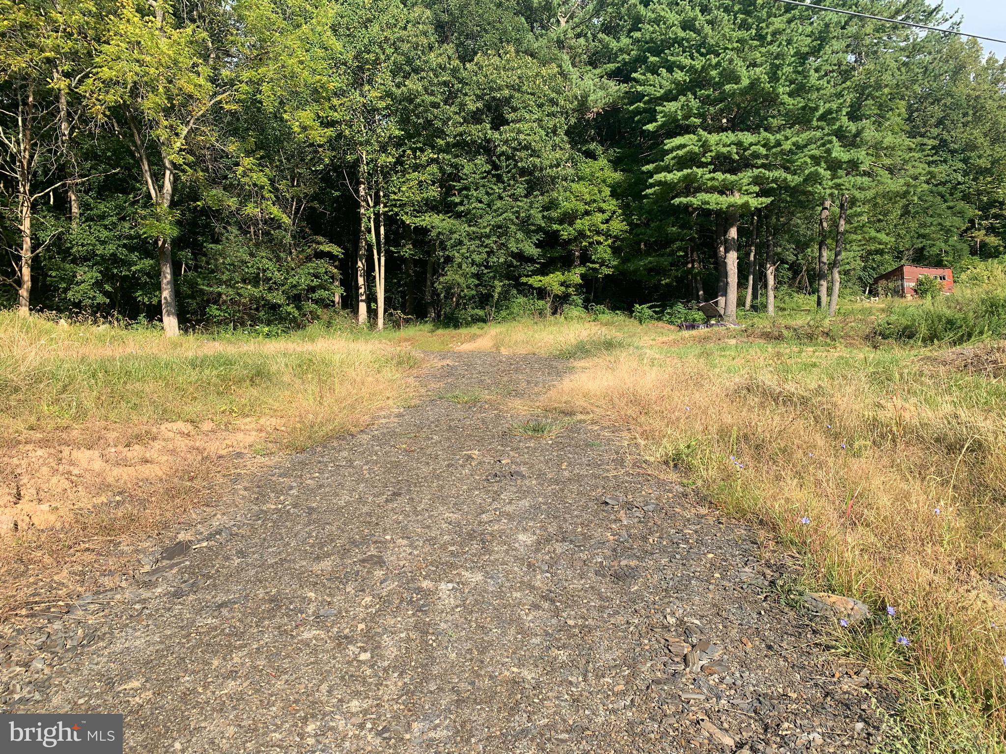Peach Orchard Road McConnellsburg, PA 17233 - Photo 9 of 11