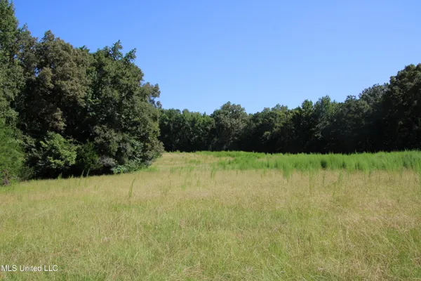 $374,393 | Ebenezer-coxburg Road Lexington Ms 39095, Lexington, MS 39095