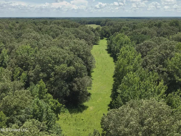$374,393 | Ebenezer-coxburg Road Lexington Ms 39095, Lexington, MS 39095