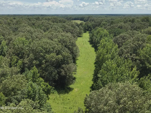 $374,393 | Ebenezer-coxburg Road Lexington Ms 39095, Lexington, MS 39095