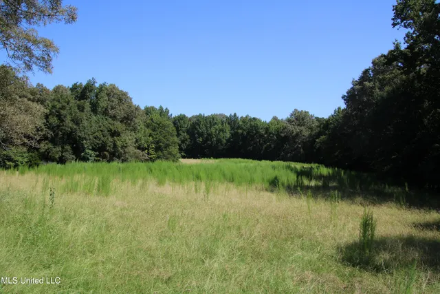 $374,393 | Ebenezer-coxburg Road Lexington Ms 39095, Lexington, MS 39095