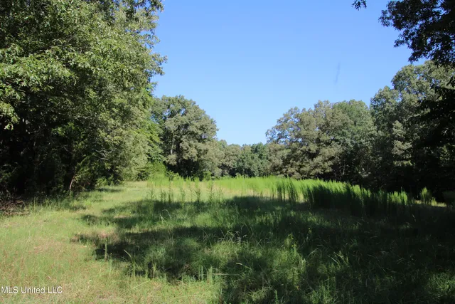 $374,393 | Ebenezer-coxburg Road Lexington Ms 39095, Lexington, MS 39095