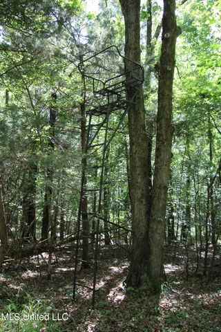 $374,393 | Ebenezer-coxburg Road Lexington Ms 39095, Lexington, MS 39095